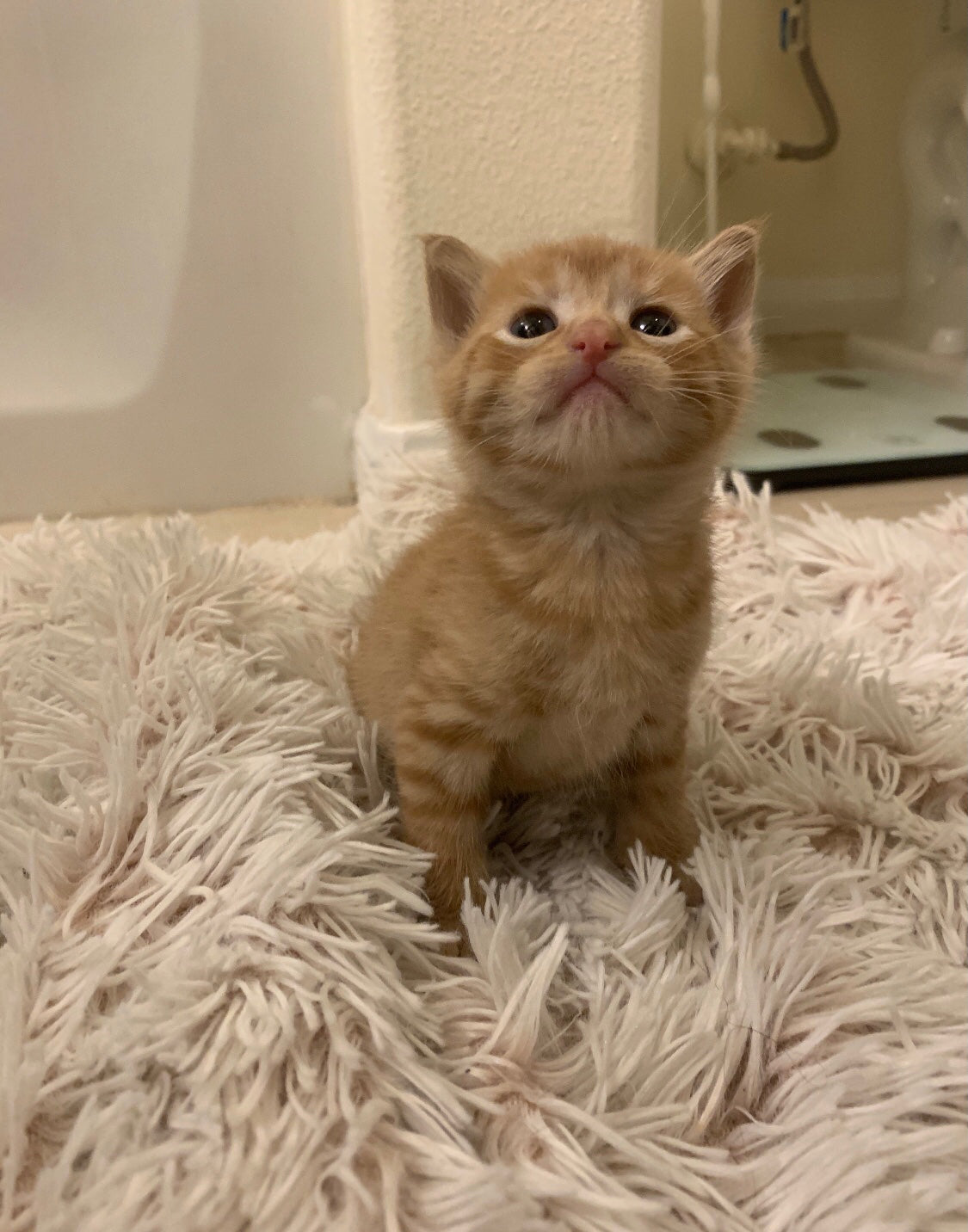 Be Nice To Me! Sticker!