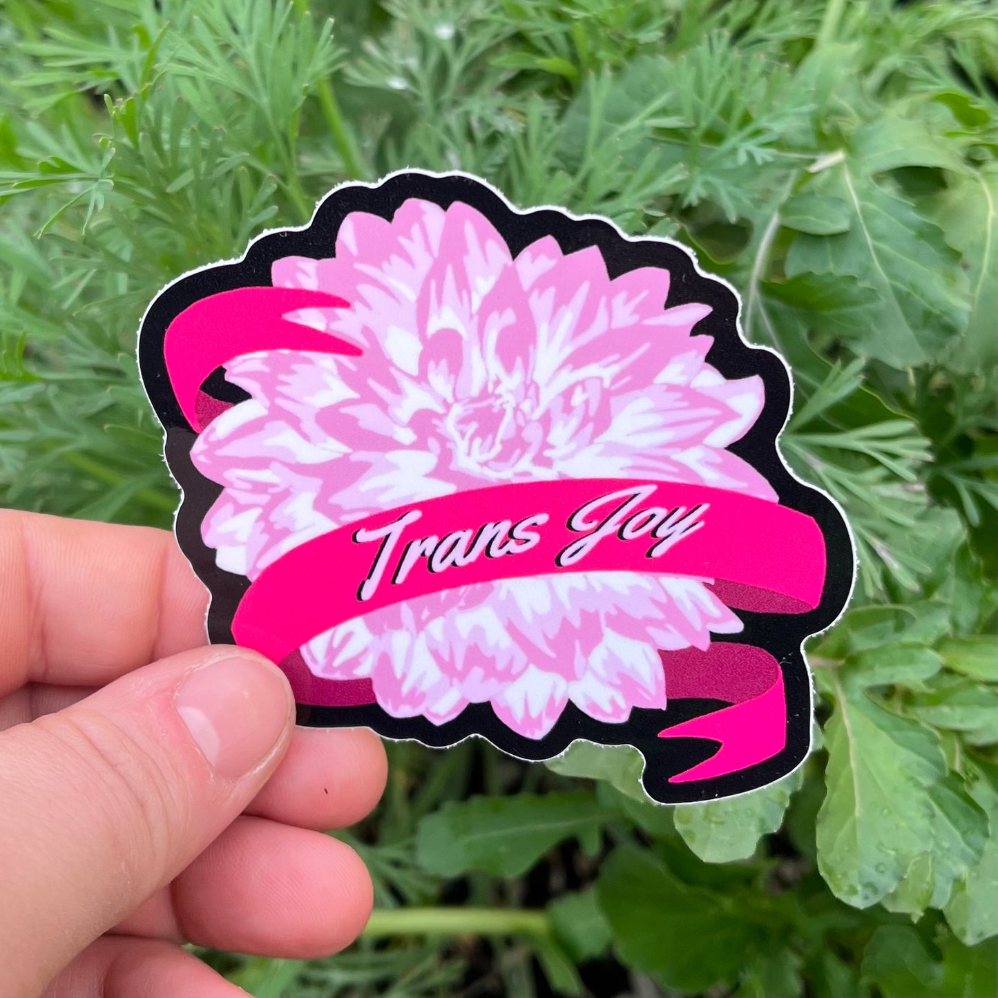 Trans Joy Dahlia Sticker