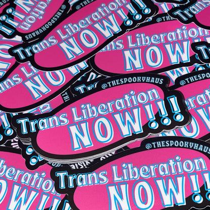 Trans Liberation Now Sticker