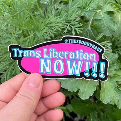 Trans Liberation Now Sticker